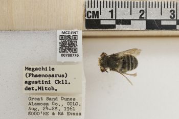 Media type: image;   Entomology 788776 Aspect: Labels
